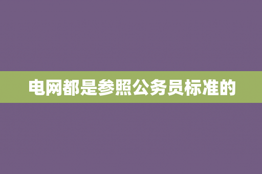 电网都是参照公务员标准的