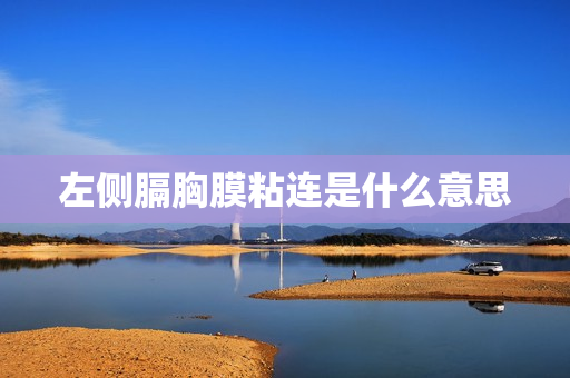 左侧膈胸膜粘连是什么意思