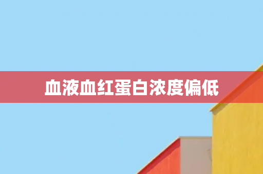 血液血红蛋白浓度偏低