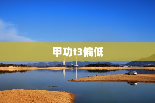 甲功t3偏低