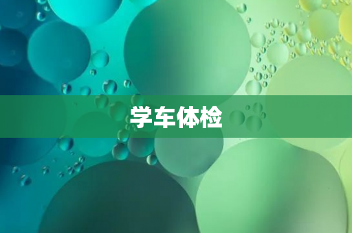 学车体检