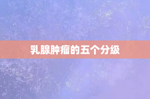 乳腺肿瘤的五个分级