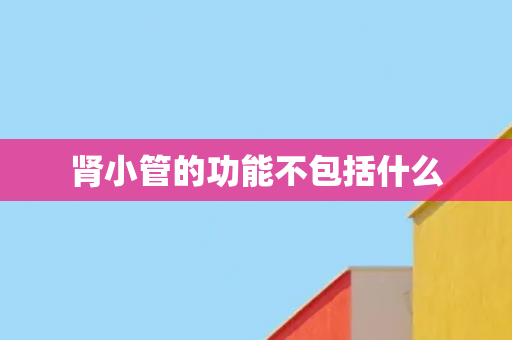 肾小管的功能不包括什么